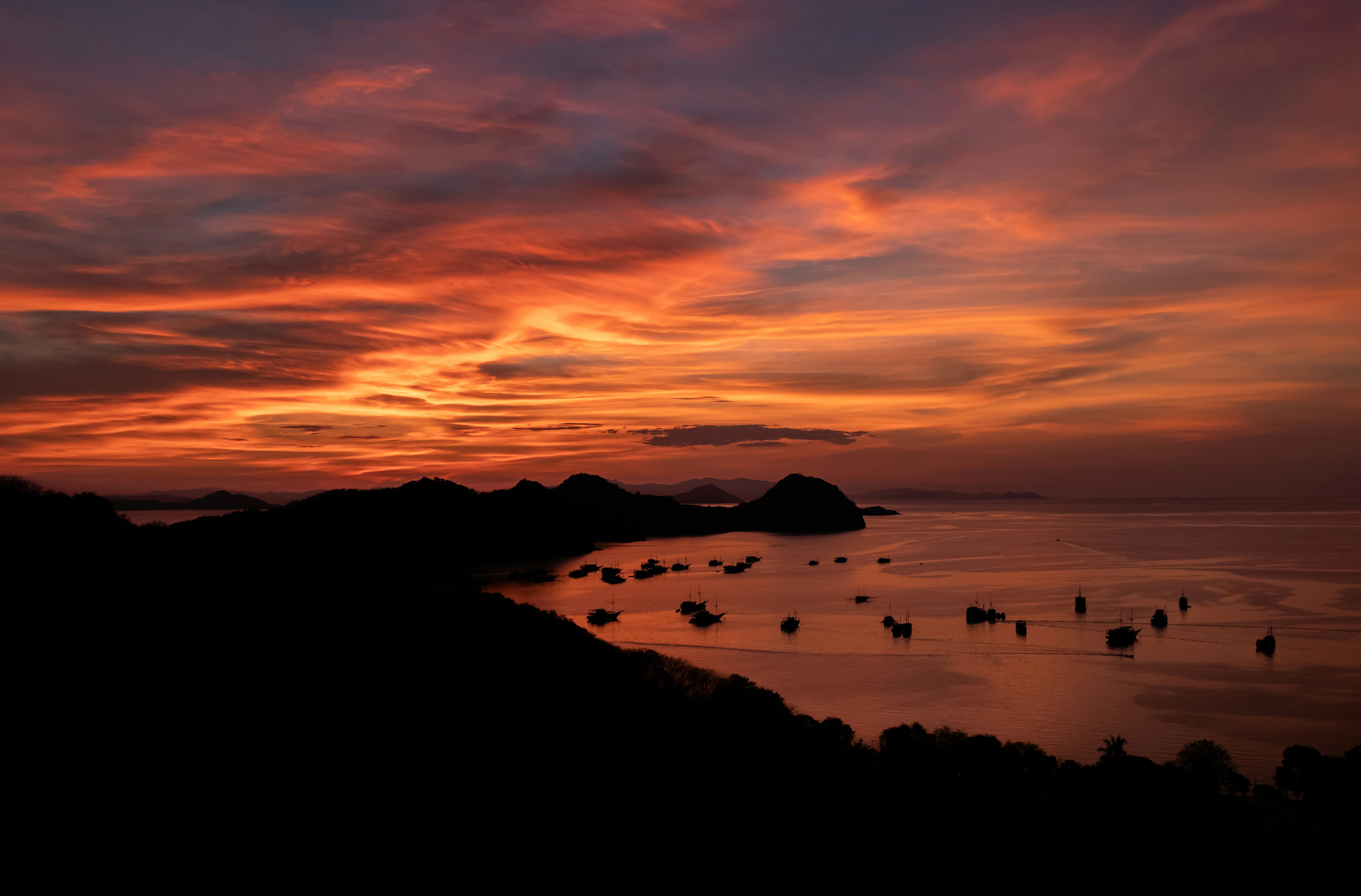 silhouette of people on beach during sunset